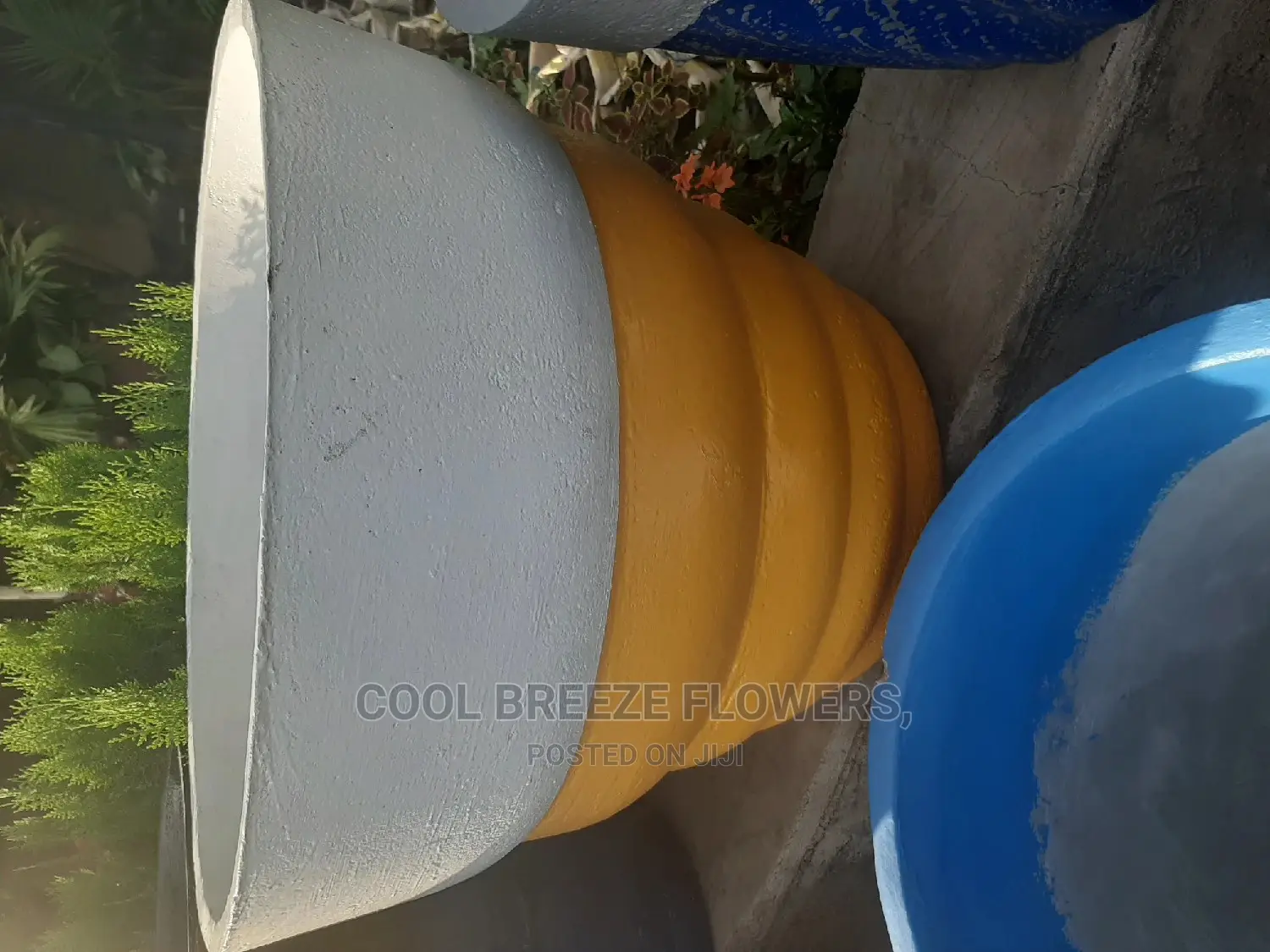 Comcrete Pots