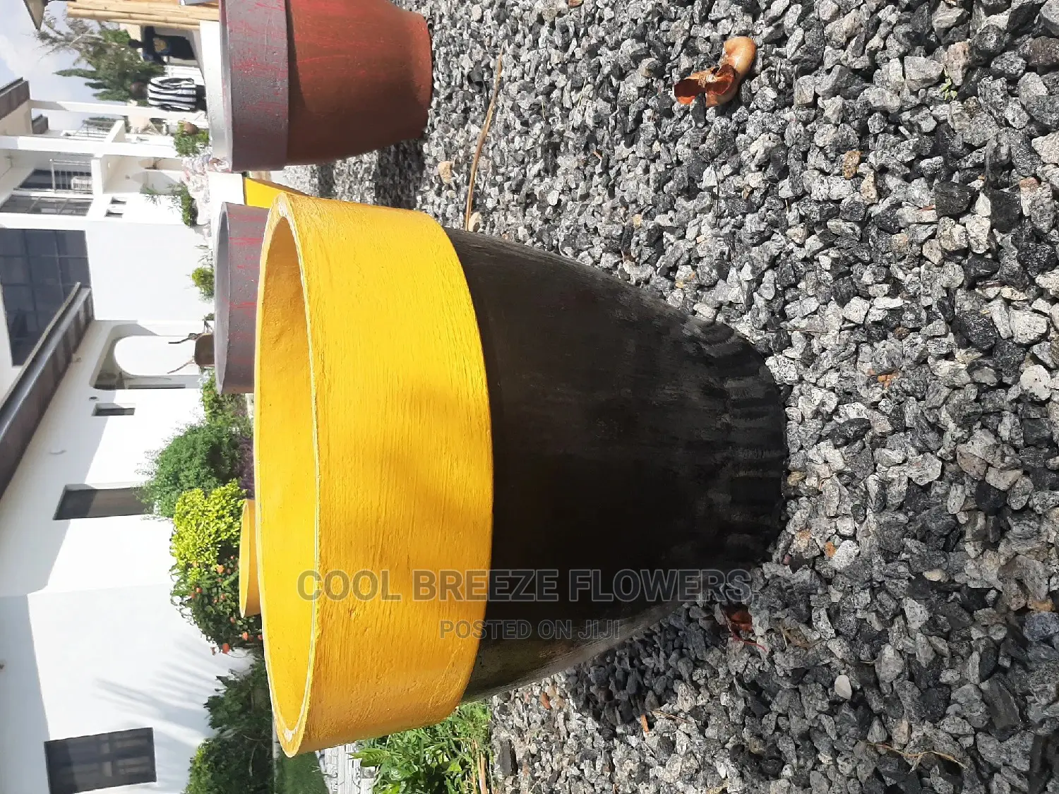 Comcrete Pots