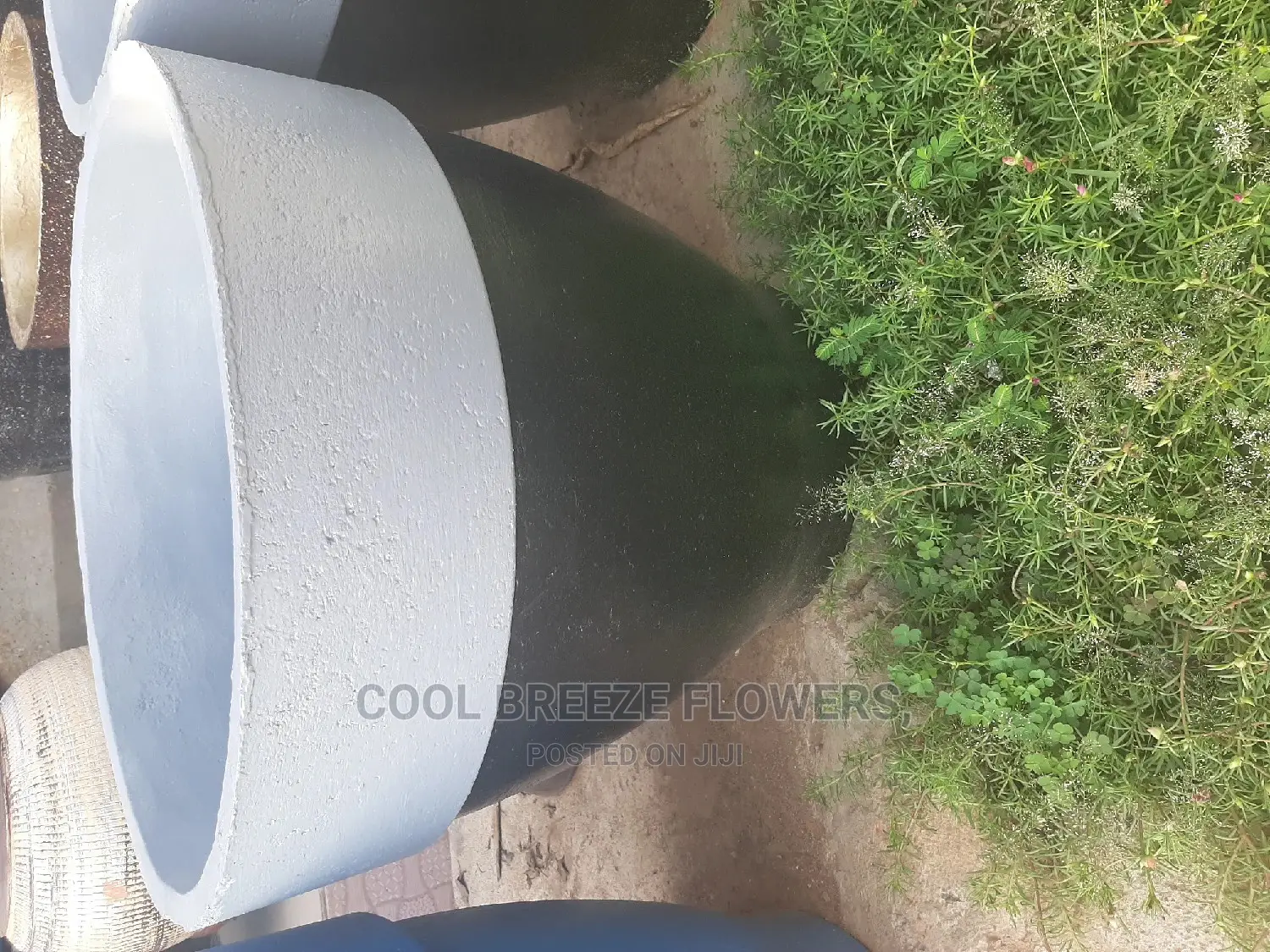 Comcrete Pots