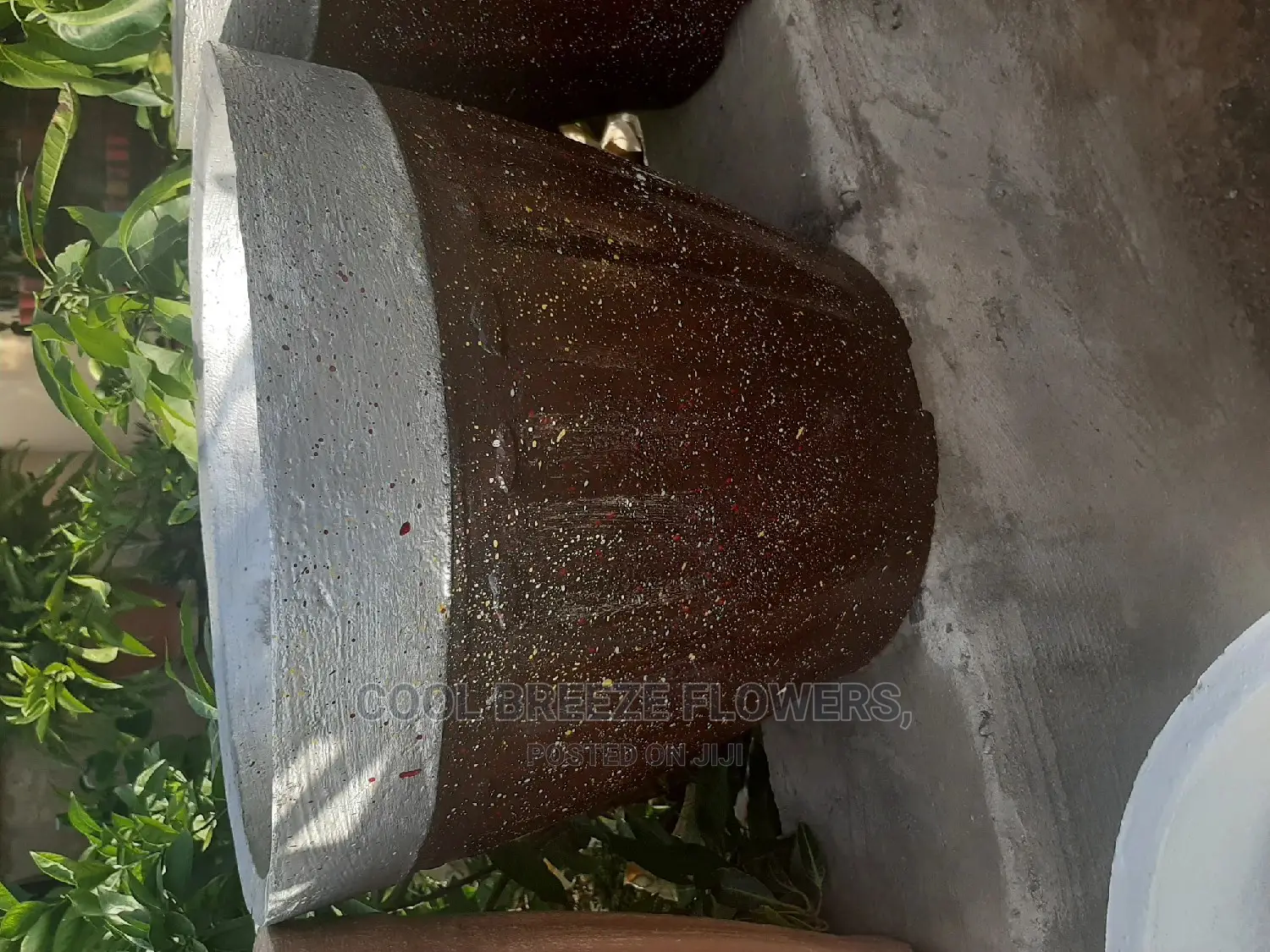 Comcrete Pots