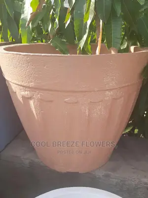 Comcrete Pots