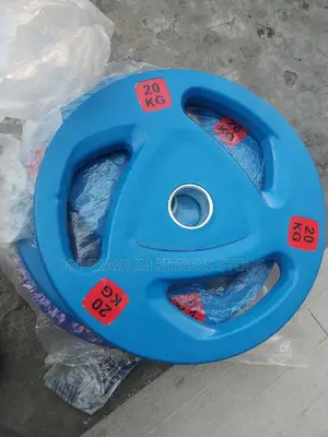 Pair of 20kg Olympic Plate Blue 2