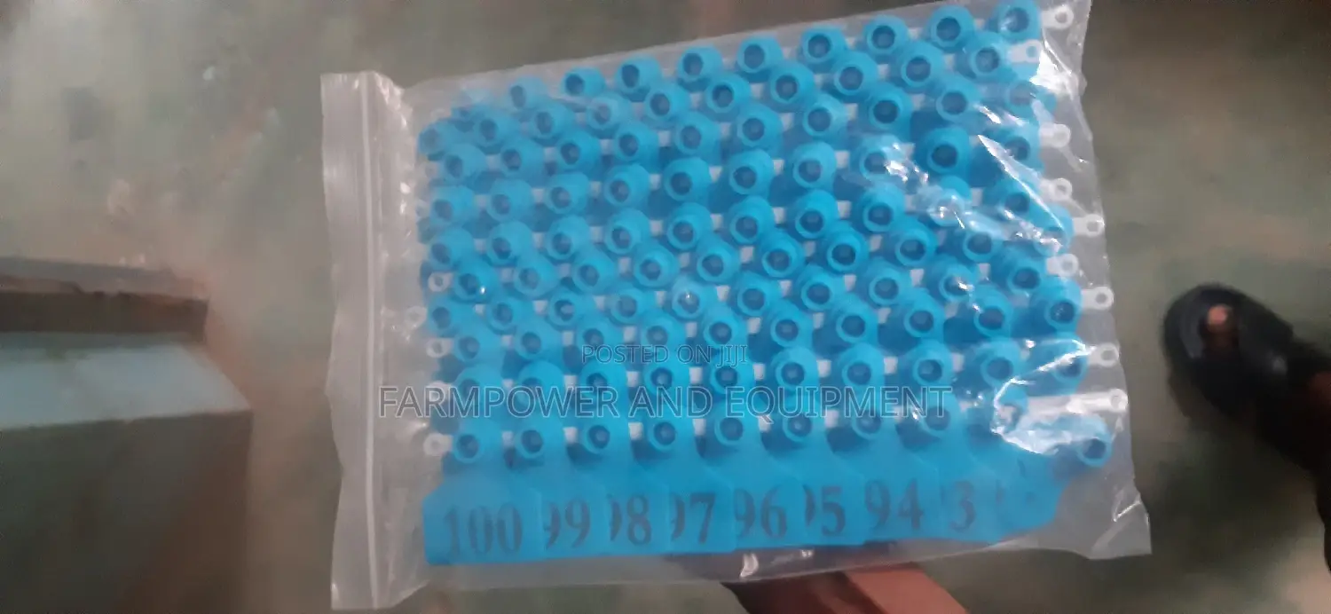 Ear Tags for Pigs