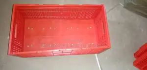 Eggs Transport Crate