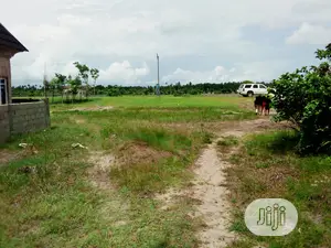 This Lands Is Gazetted at Dangote Refinery Area