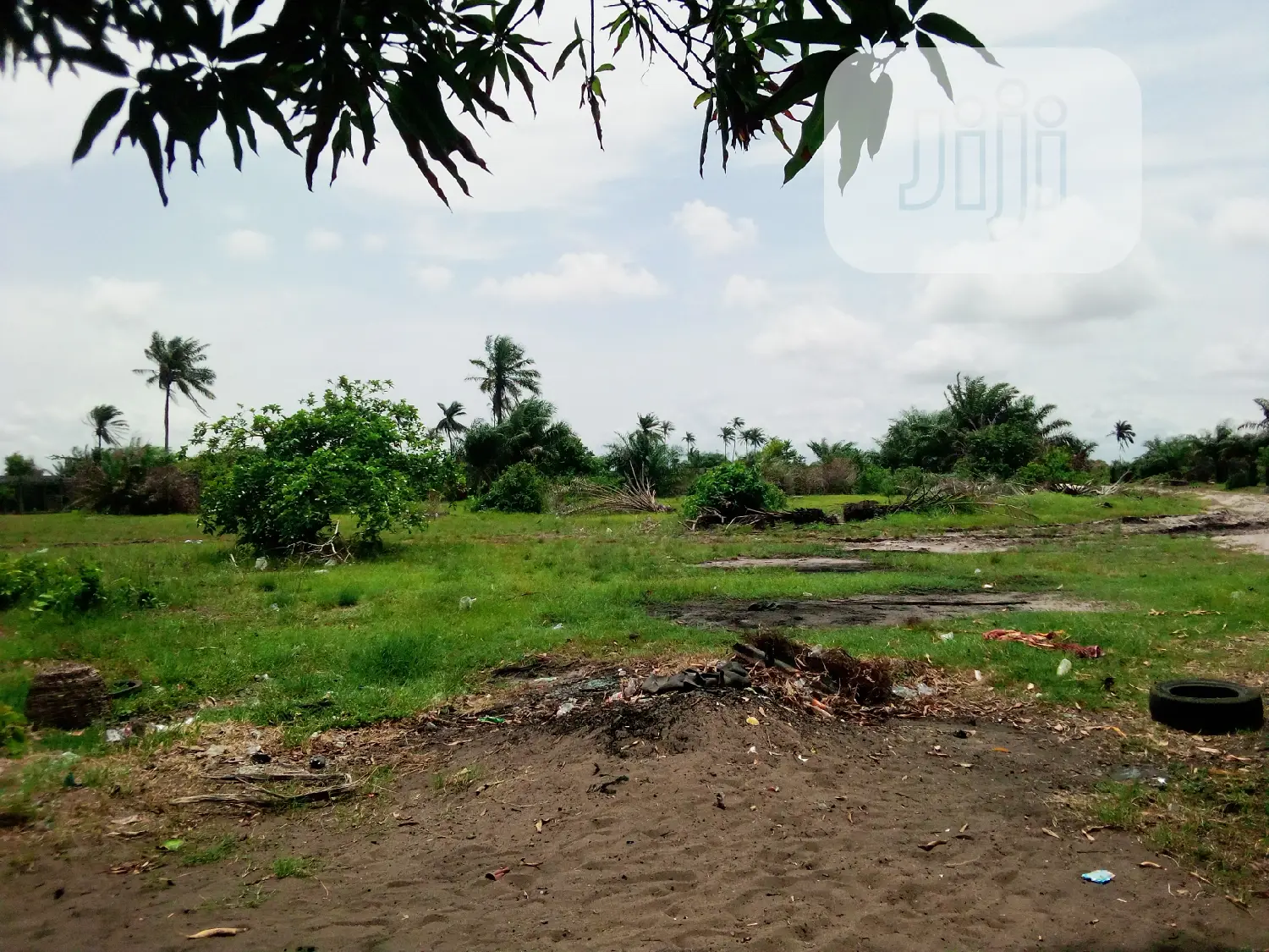 This Lands Is Gazetted Close to Amens Estate