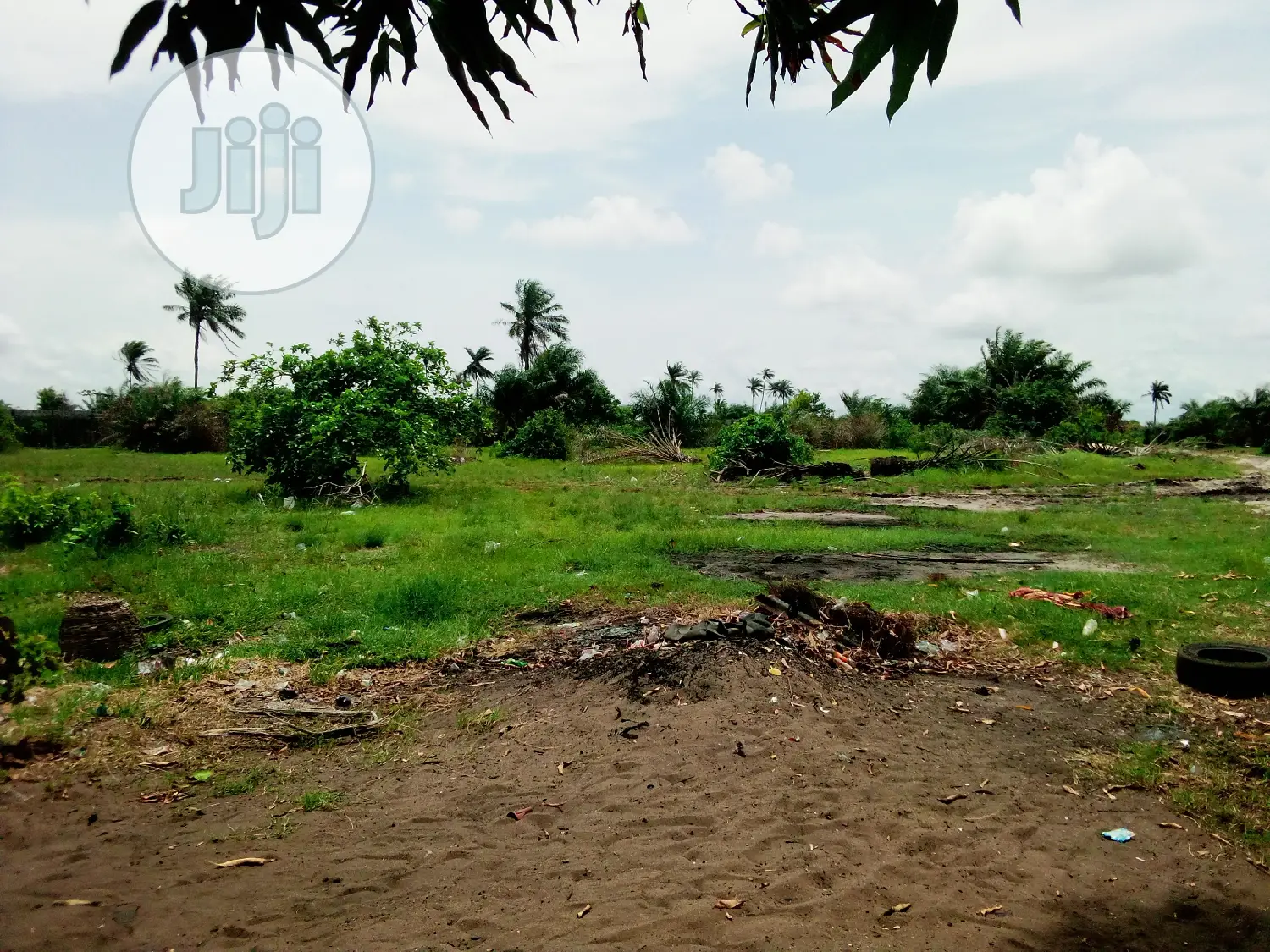 This Lands Is Gazetted Close to Amens Estate