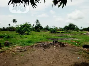 This Lands Is Gazetted Close to Amens Estate