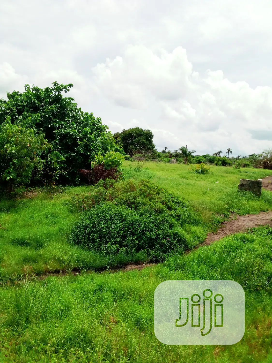This Lands Is Gazetted Close to Amens Estate