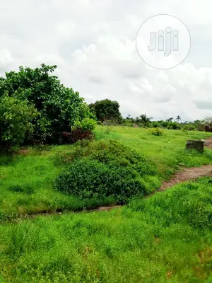 This Lands Is Gazetted Close to Amens Estate