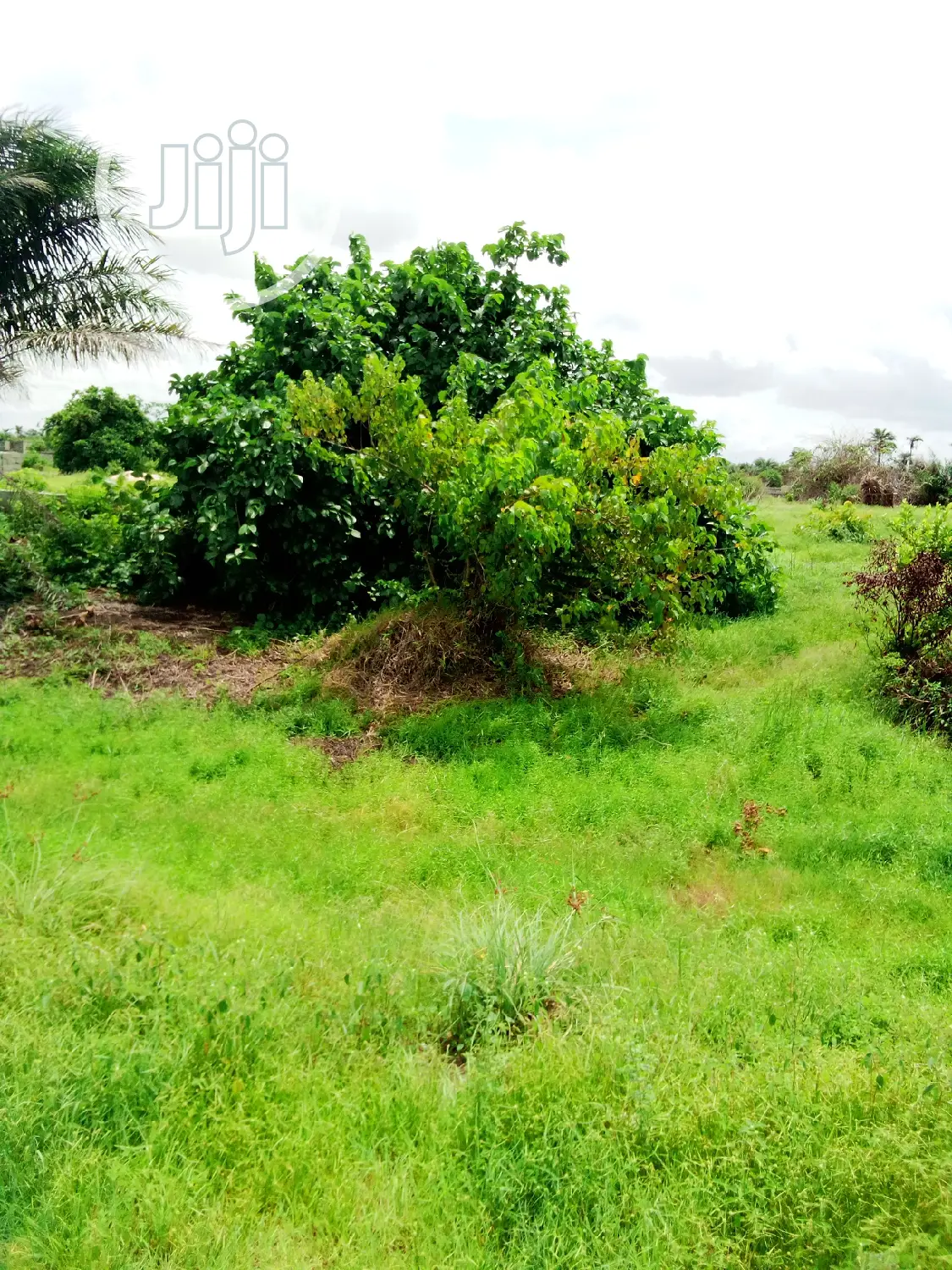 This Lands Is Gazetted Close to Amens Estate