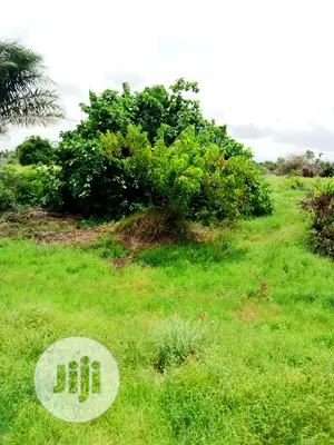 This Lands Is Gazetted Close to Amens Estate