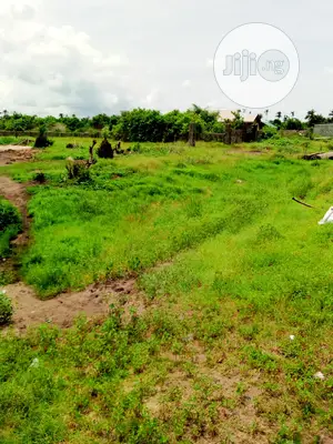 This Lands Is Gazetted Close to Amens Estate