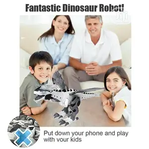 Children Kids Model Toys Walk Spray Electronic Dinosaur
