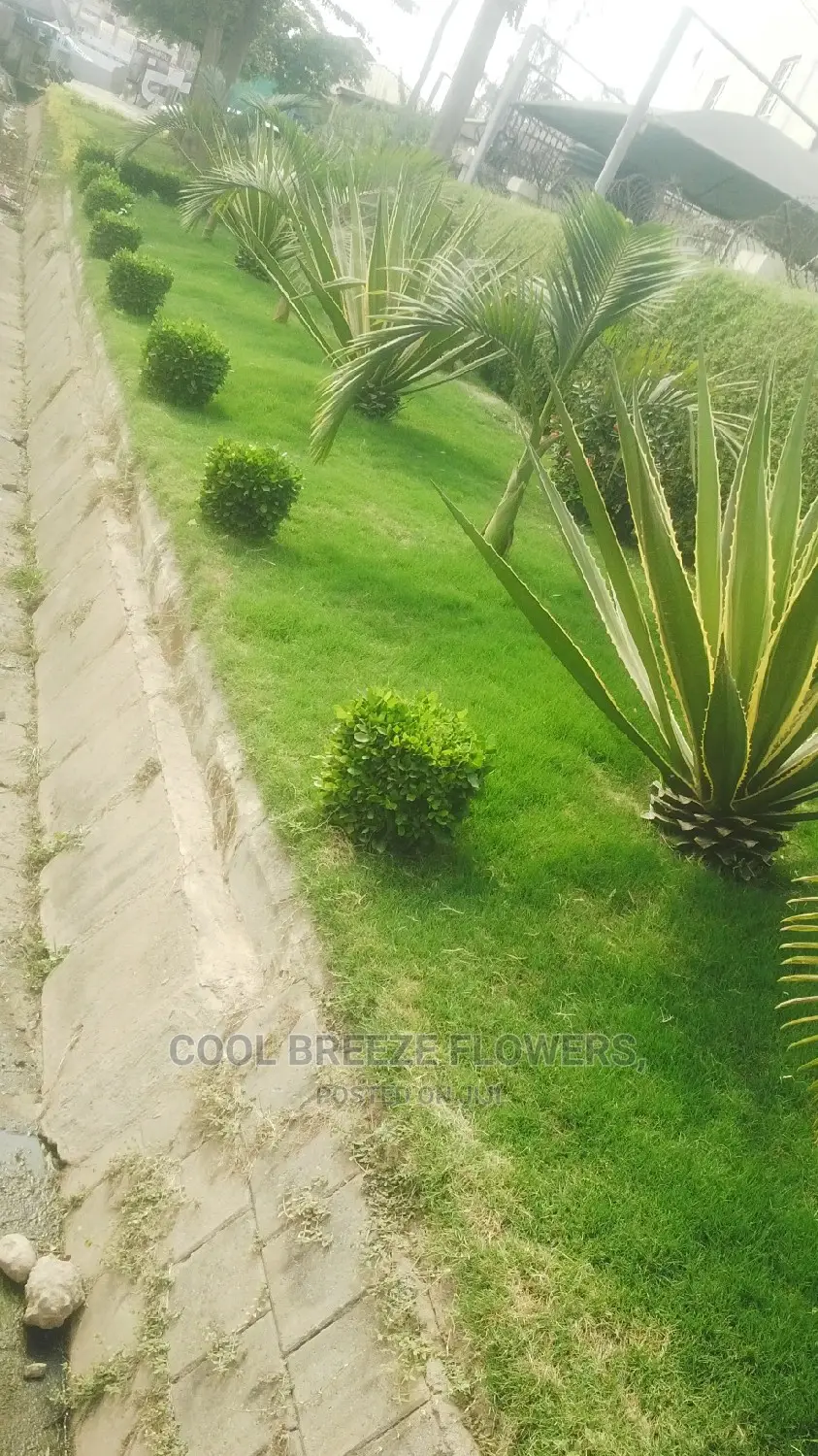 Landscaping