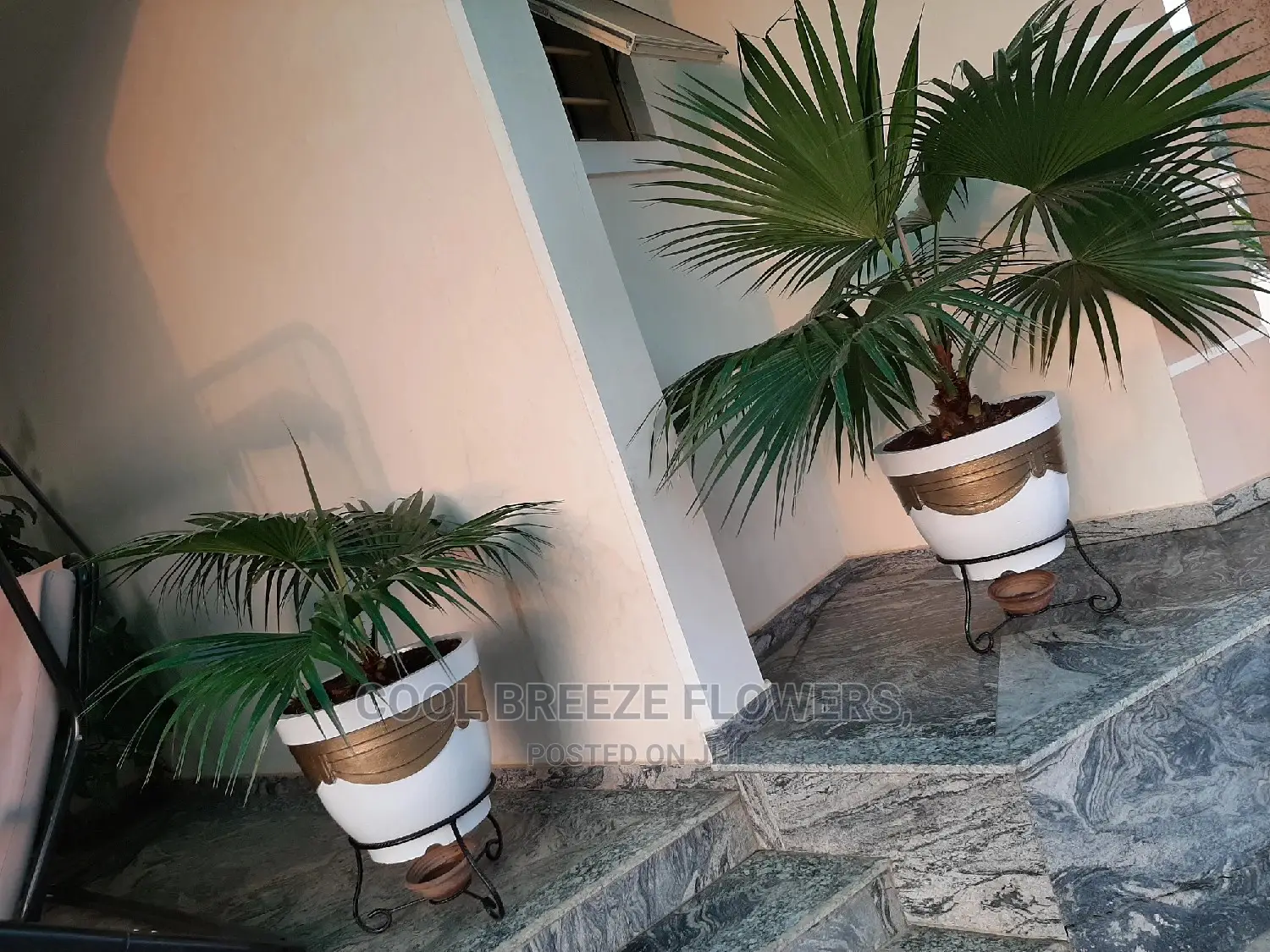 Landscaping
