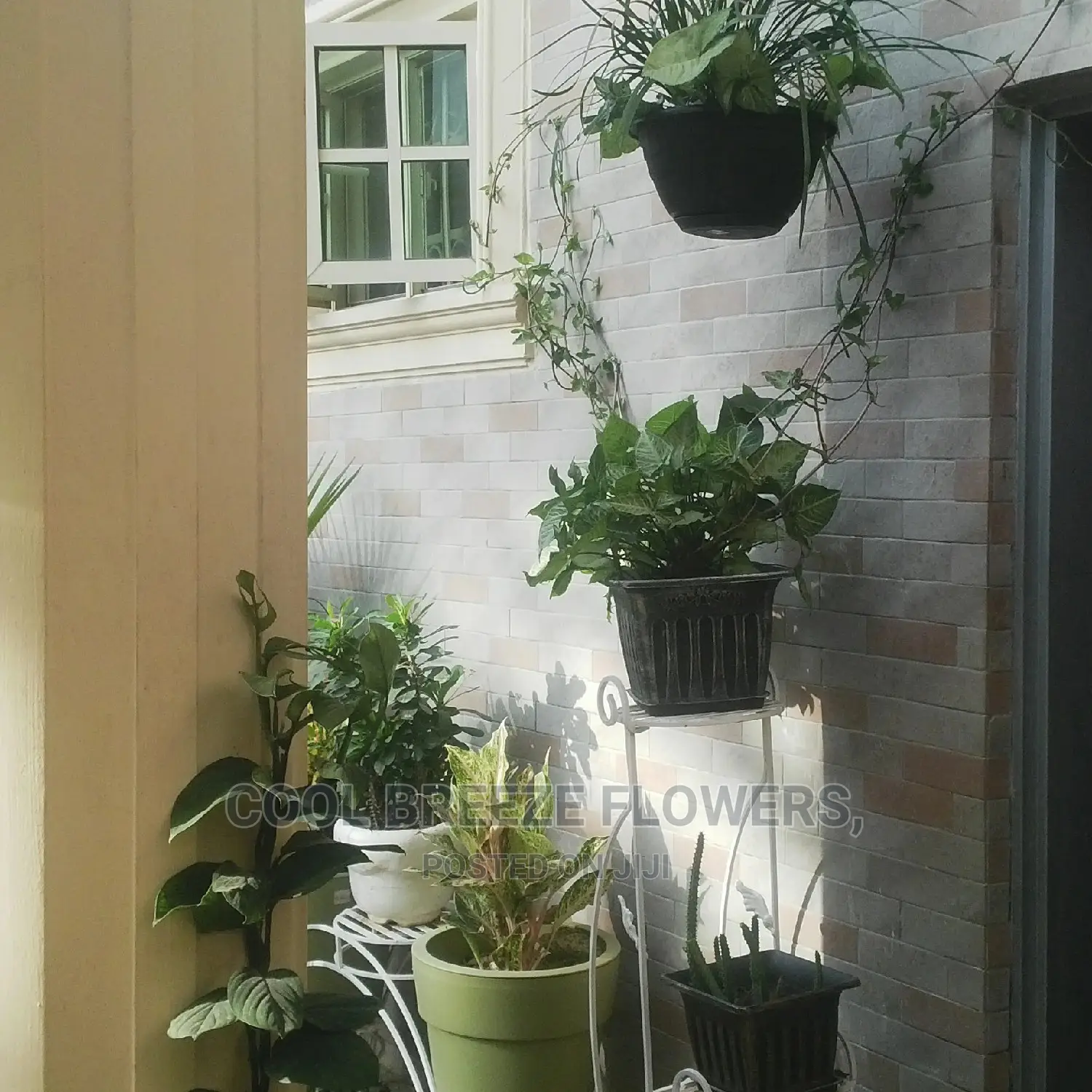 Landscaping