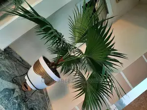 Solid And Durable Pots