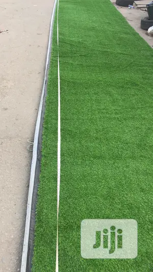 Quality Grass For Indoor And Outdoor Use