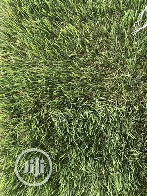 Quality Grass For Indoor And Outdoor Use