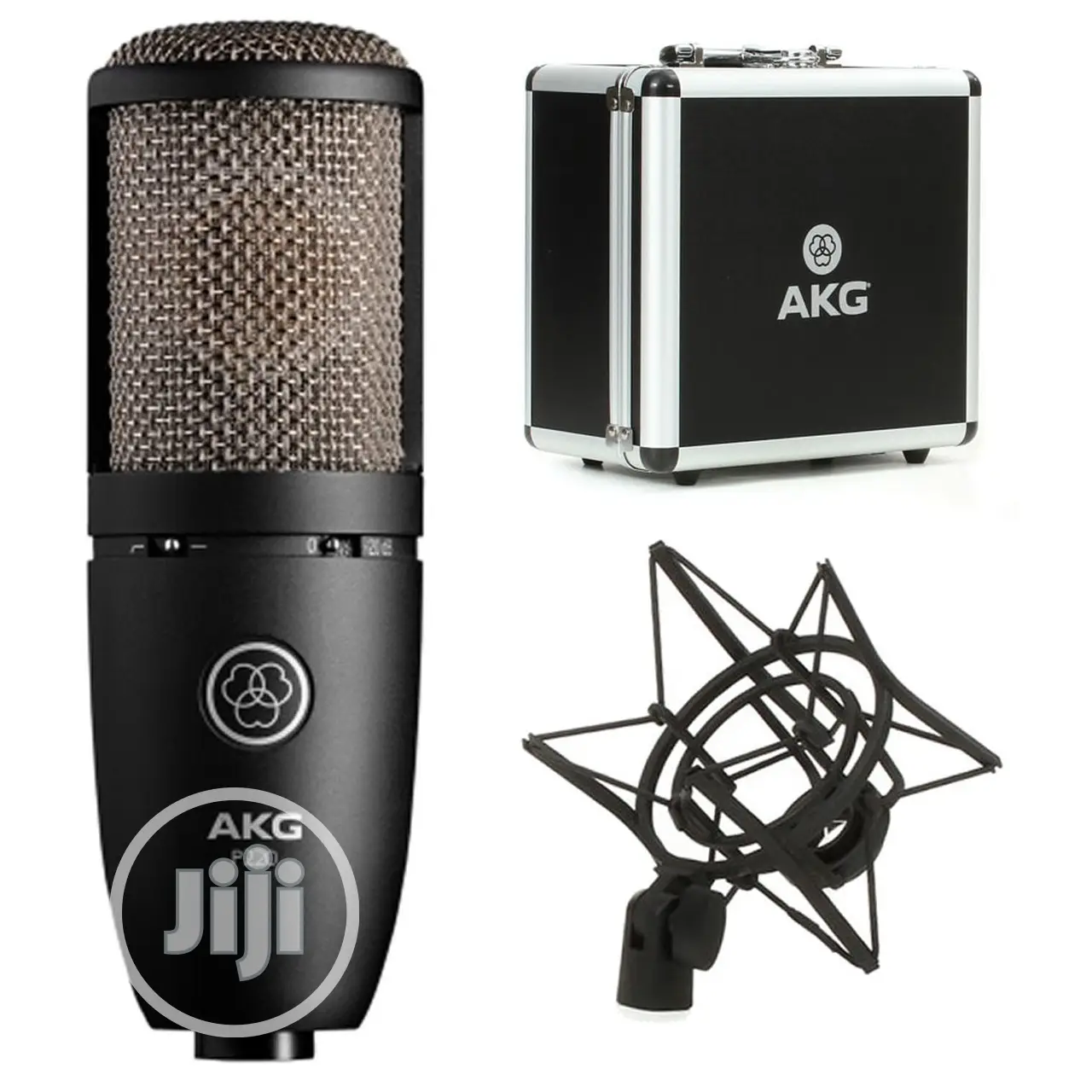 New Akg P220
