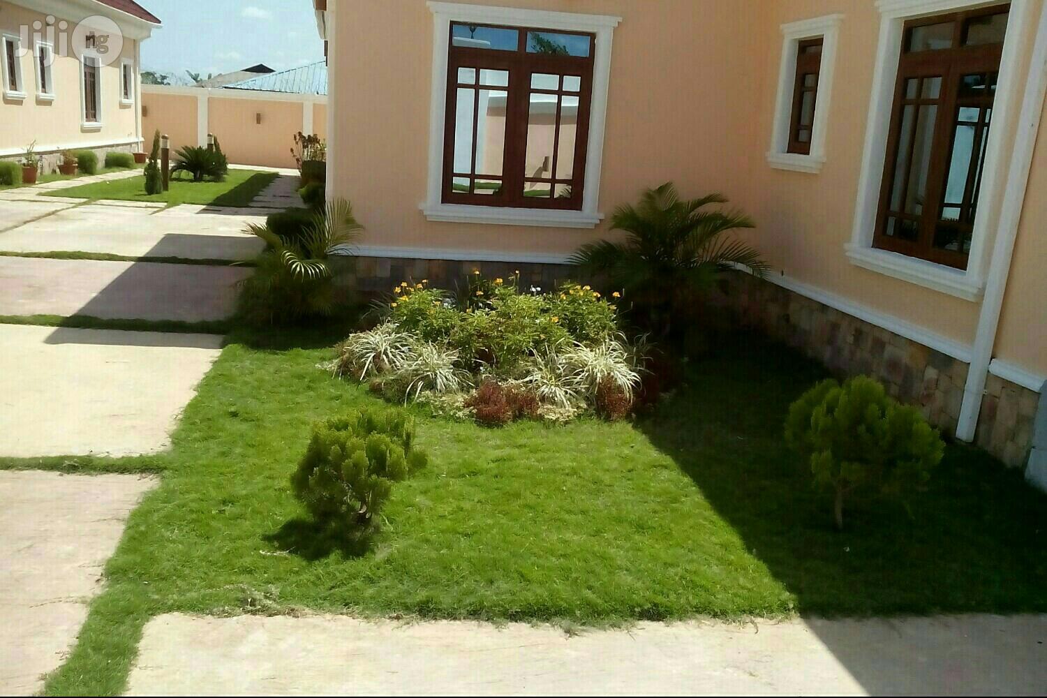 Success Flowers and Landscaping Services