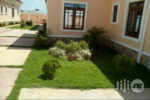 Success Flowers and Landscaping Services