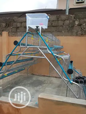Battery Cage With Automatic Drinkers