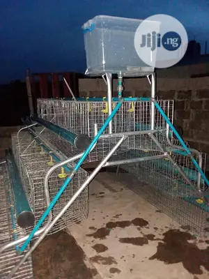 Battery Cage With Automatic Drinkers