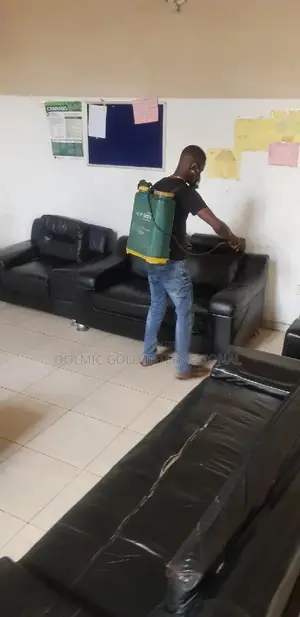 Bedbug Exterminator Expert