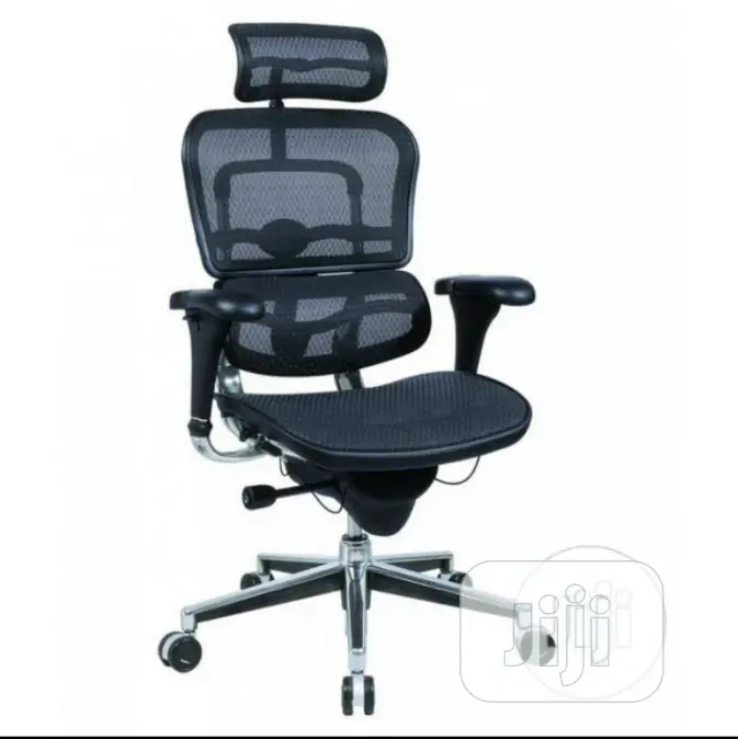 Office Chair/ Orthopedic Chair