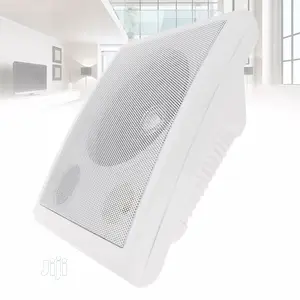 Pro Wall Speaker