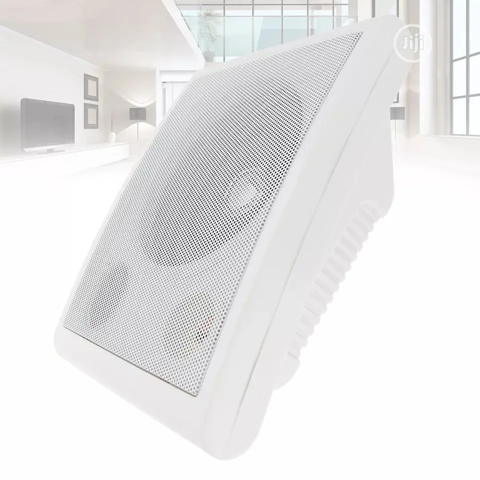Pro Wall Speaker