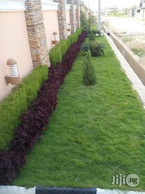 Success Flowers and Landscaping Services