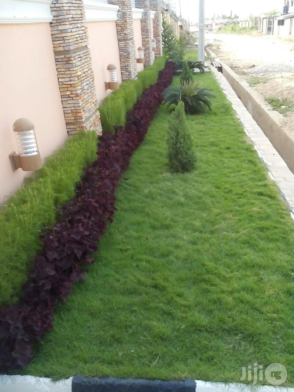 Success Flowers and Landscaping Services