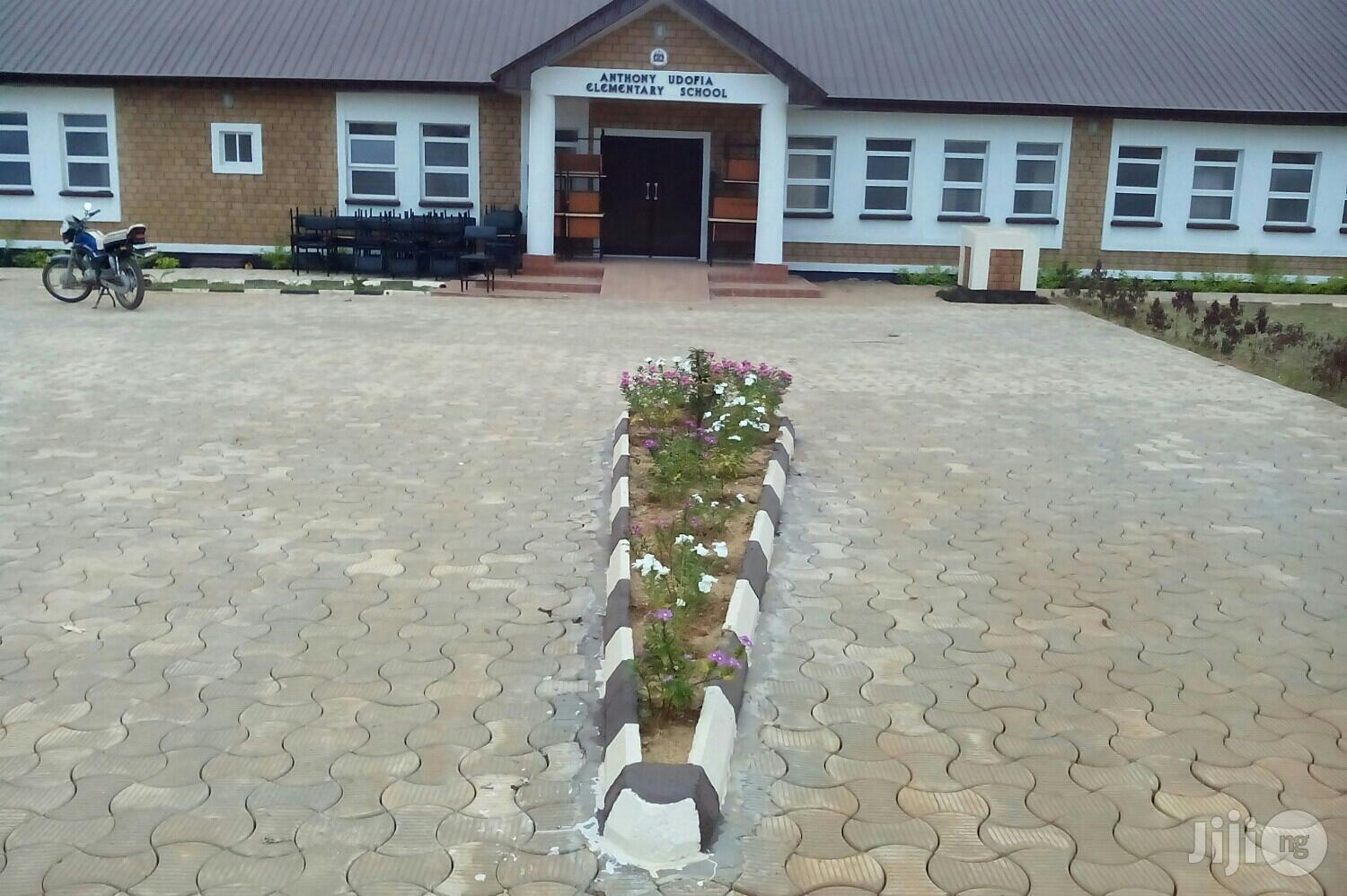 Success Flowers and Landscaping Services