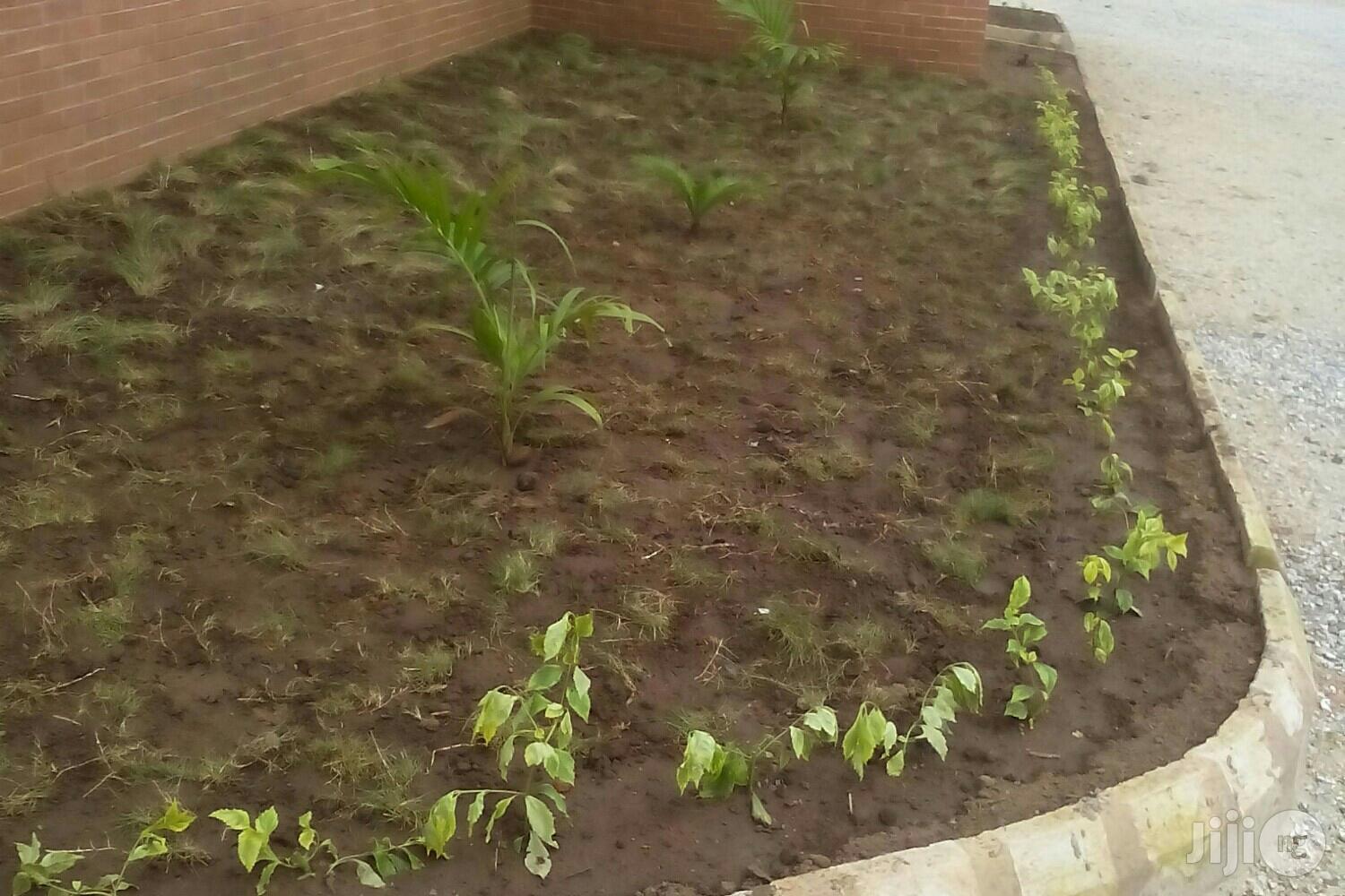 Success Flowers and Landscaping Services