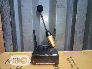 Original Professional Wireless Saxophone Microphone