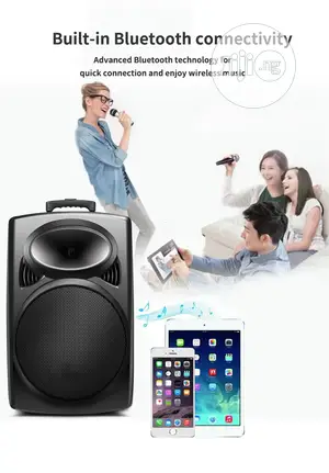 Rechargeable PA With Bluetooth, USB, 2 Wireless Mic