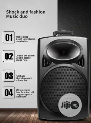 Rechargeable PA With Bluetooth, USB, 2 Wireless Mic