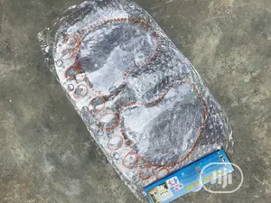 Foreign Doormat for Inside Shower