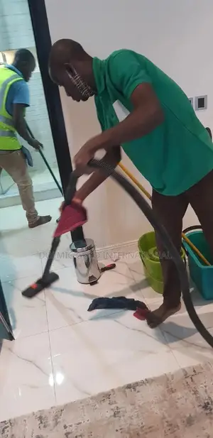 Rug/Carpet, Sofa Cleaners