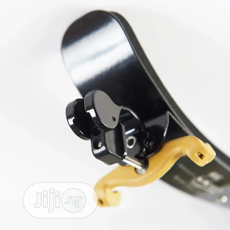 Professional Violin Accessories