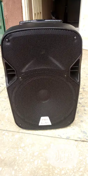 Rocking Sounds Speaker