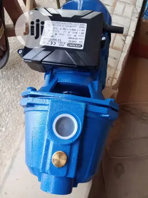 1hp Speroni Copper Wire Pump(Italian)