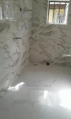 Professional Tiler
