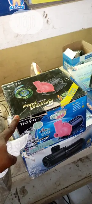 Boyu Pond Pump