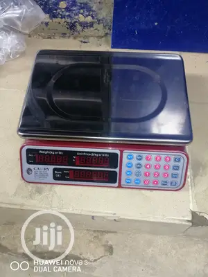 Camry 30kg Digital Scale