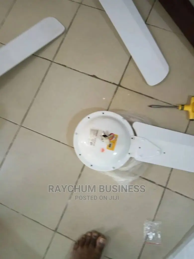 Qasa Ceiling Fan Size 56 Super Cool