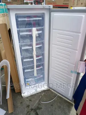 Secanfrost Standing Freezer